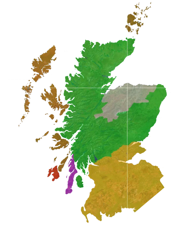 Miltonduff Càrn Mòr - Strictly