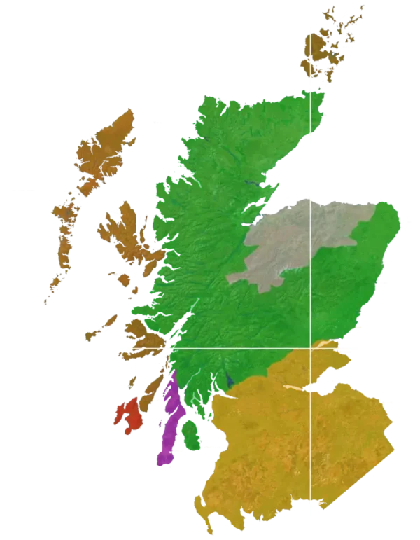 Lindores MCDXCIV (1494)